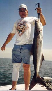 cobia