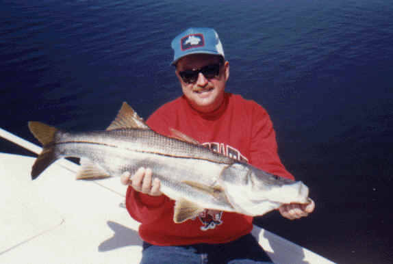 snook