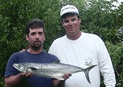 nice mackeral