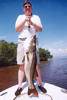 bigggggggg snook