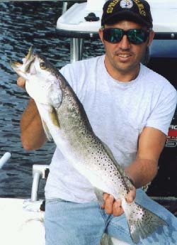monster trout!!!!!!!!!!!!
